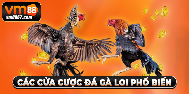 Các cửa cược đá gà loi phổ biến