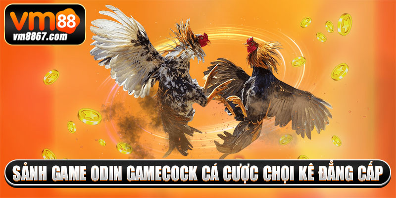 Sảnh game Odin Gamecock cá cược chọi kê đẳng cấp